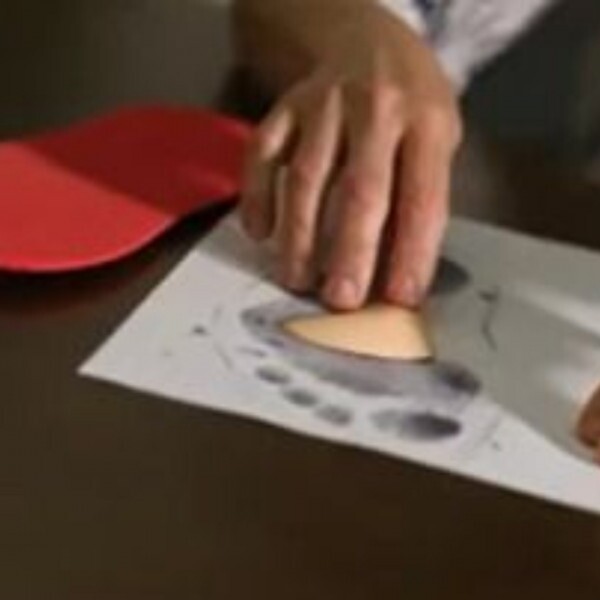 Podoposturologia: Avaliação, Postura e Biomecânica Aplicada Podoposturologia: Avaliação, Postura e Biomecânica Aplicada